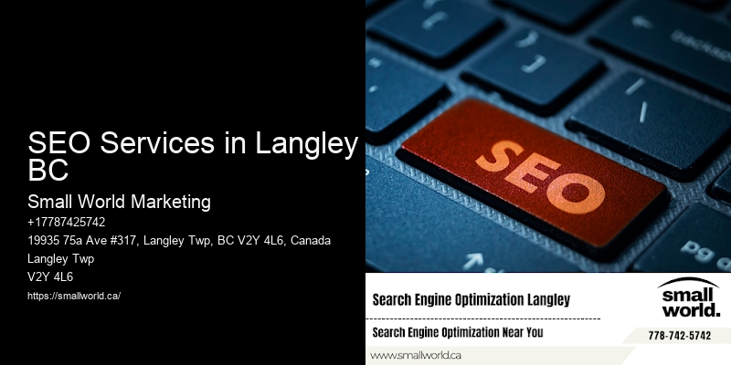 SEO Services in Langley BC