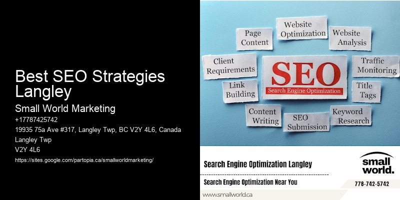 Best SEO Strategies Langley