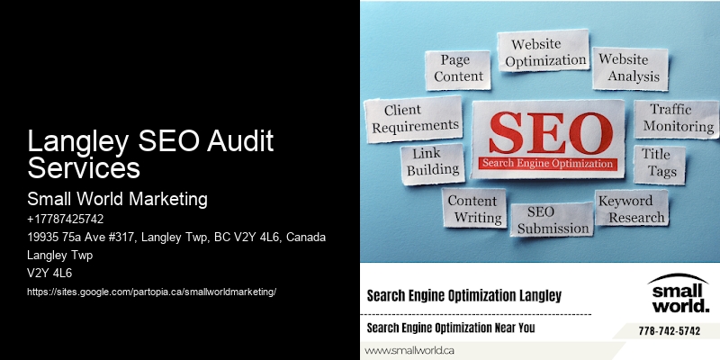 Langley SEO Audit Services