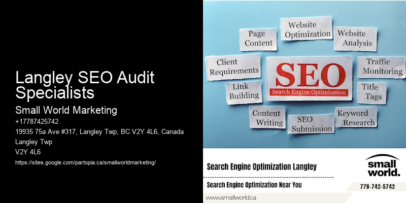 Langley SEO Audit Specialists
