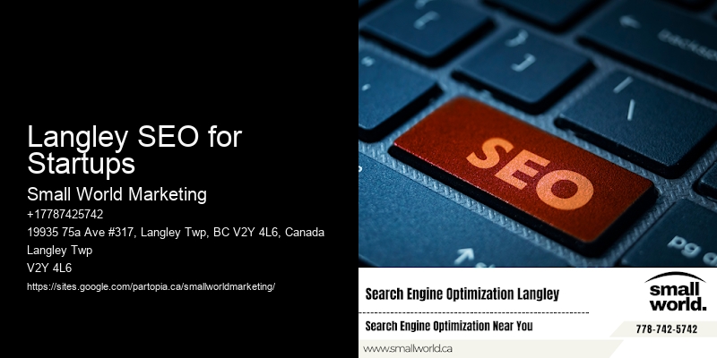 Langley SEO for Startups
