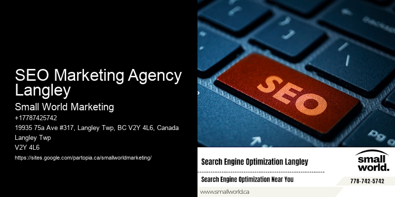 SEO Marketing Agency Langley