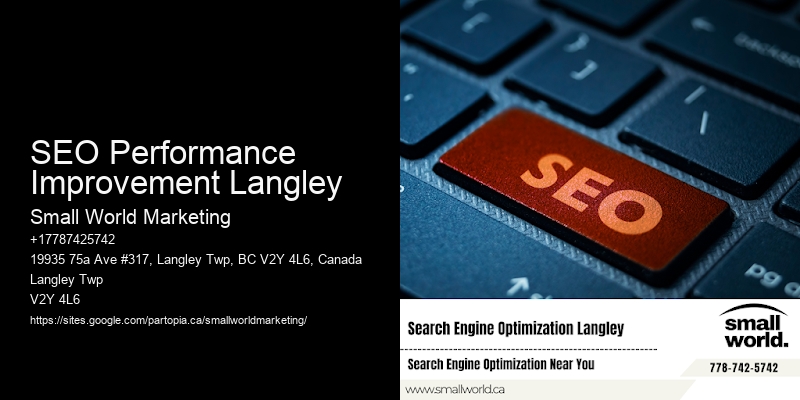 SEO Performance Improvement Langley