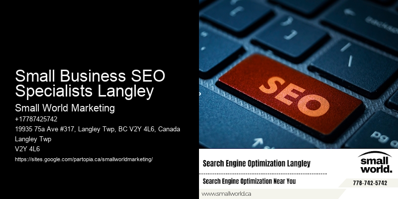 Small Business SEO Specialists Langley