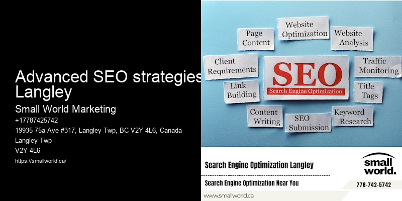 Advanced SEO strategies Langley