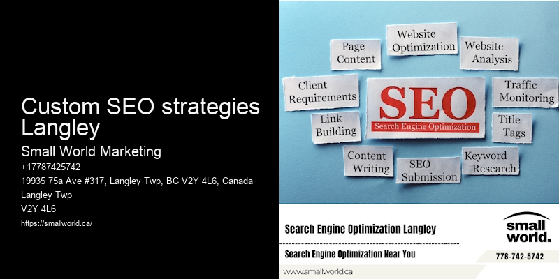 Custom SEO strategies Langley