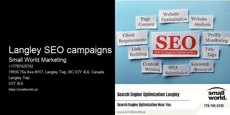Langley SEO campaigns