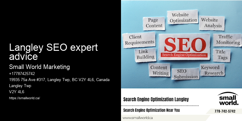 Langley SEO expert advice