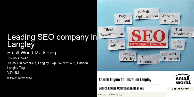 Leading SEO company in Langley