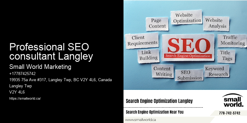 Professional SEO consultant Langley