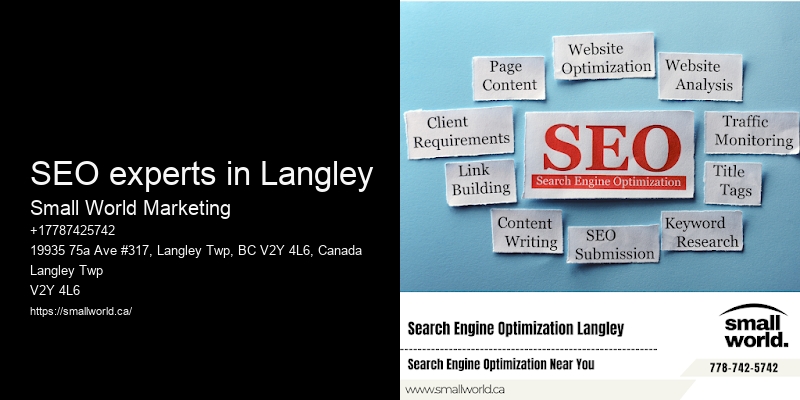 SEO experts in Langley