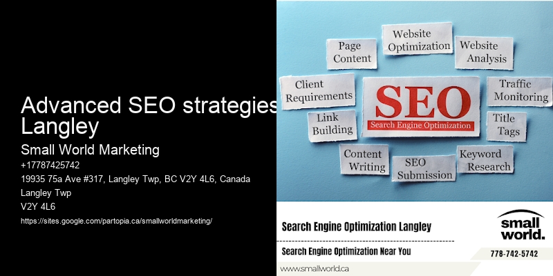 Advanced SEO strategies Langley
