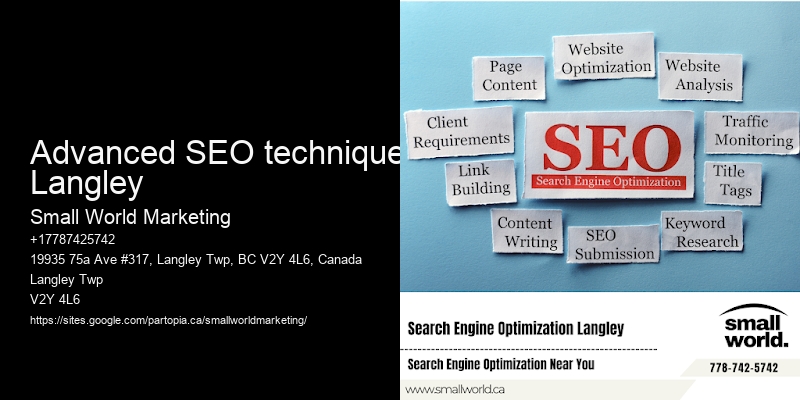 Advanced SEO techniques Langley