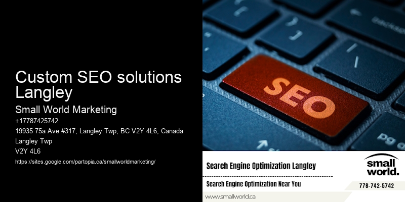 Custom SEO solutions Langley