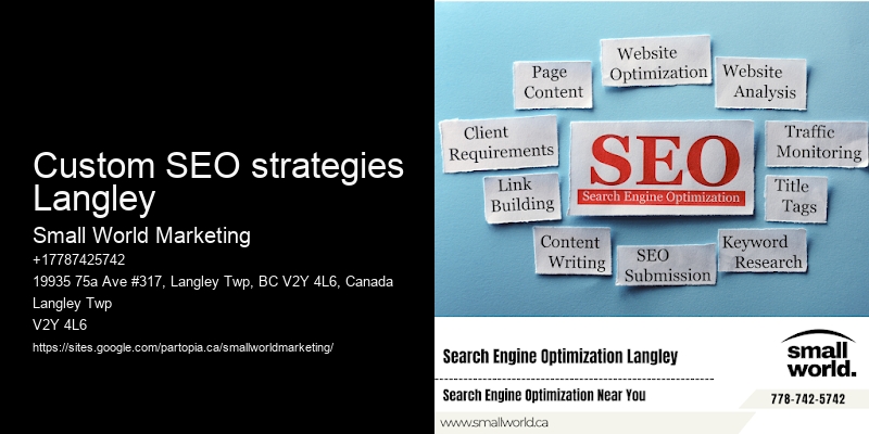 Custom SEO strategies Langley