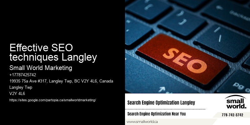 Effective SEO techniques Langley