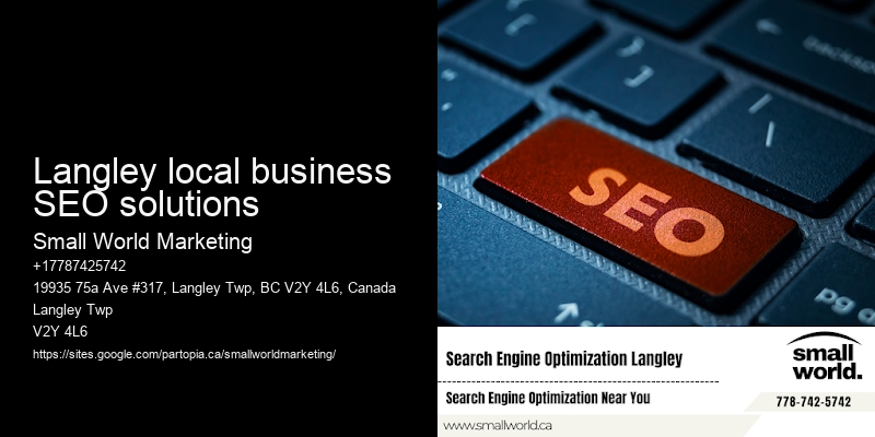 Langley local business SEO solutions