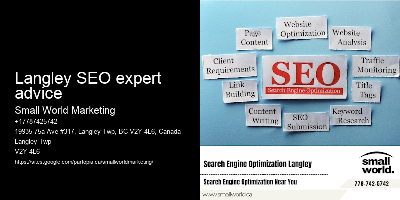Langley SEO expert advice