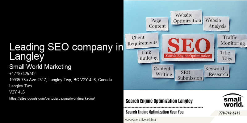 Leading SEO company in Langley