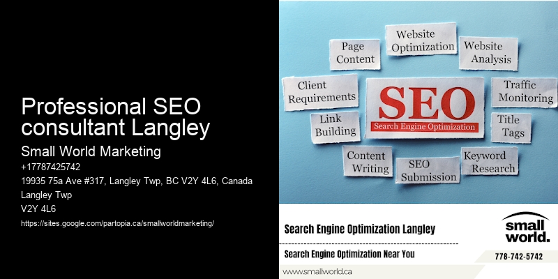 Professional SEO consultant Langley