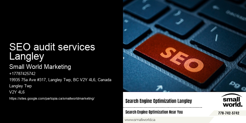 SEO audit services Langley