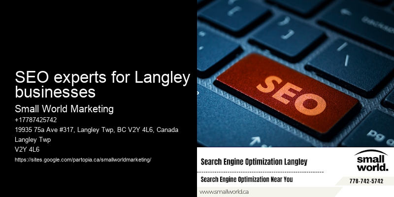 SEO experts for Langley businesses