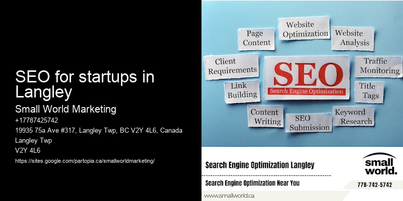 SEO for startups in Langley