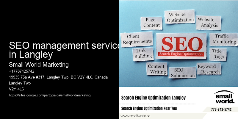 SEO management services in Langley
