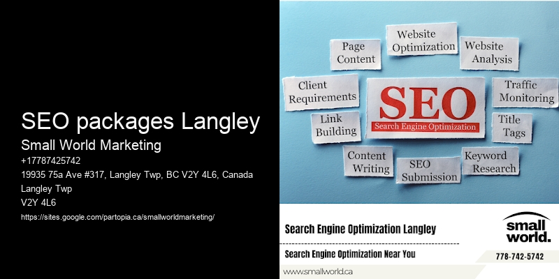 SEO packages Langley
