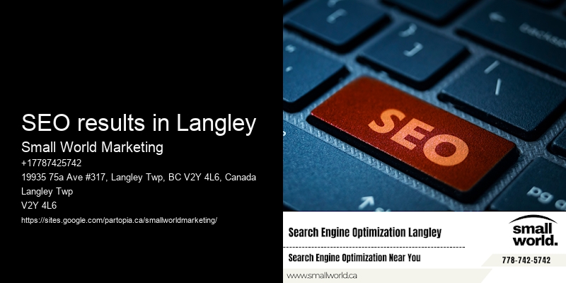 SEO results in Langley
