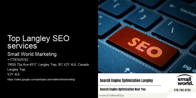 Top Langley SEO services