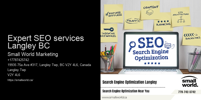 Expert SEO services Langley BC