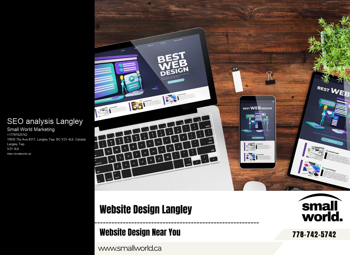 SEO analysis Langley BC SEO management and support