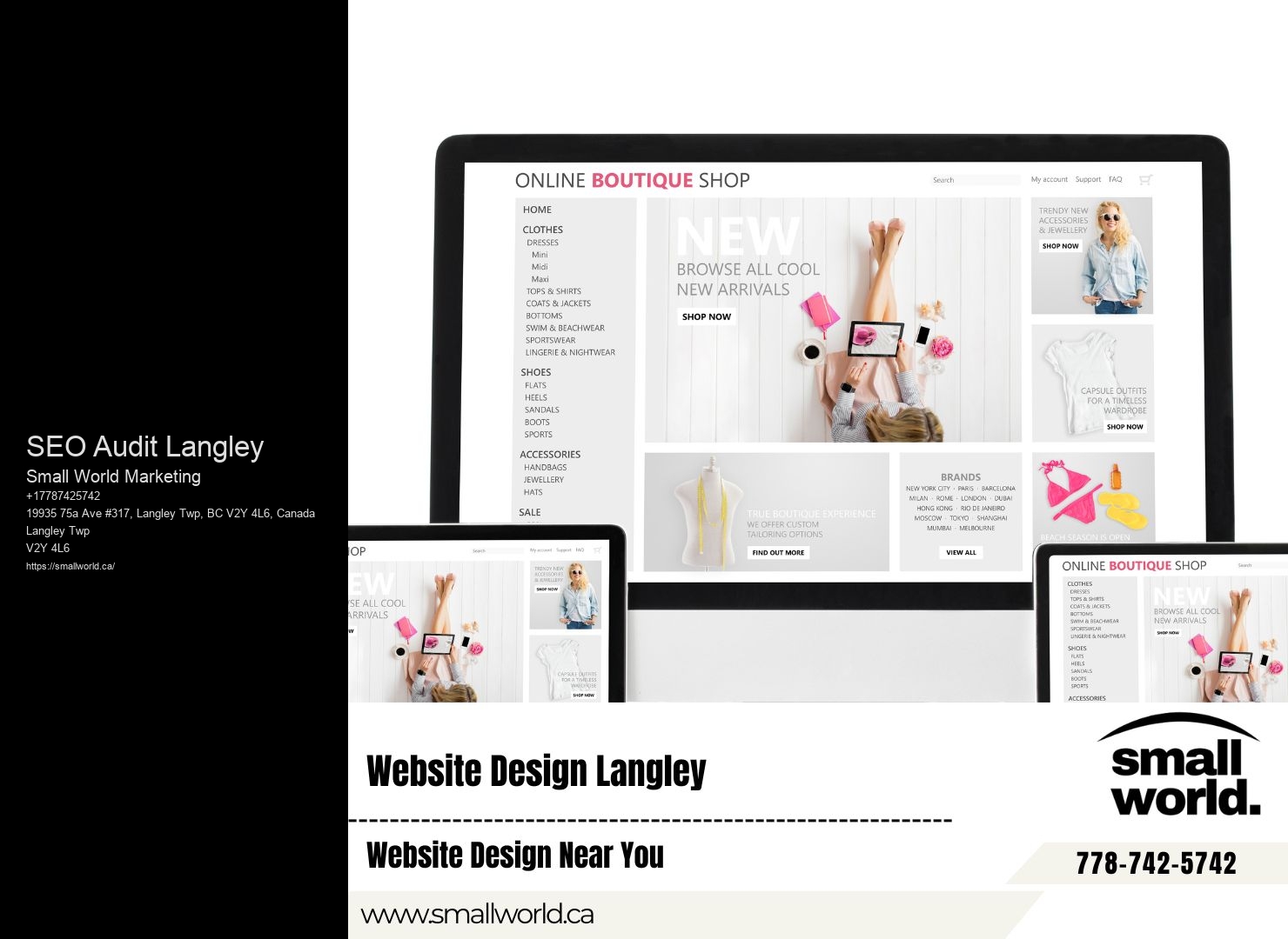 SEO Consultation Specialist SEO Audit Langley