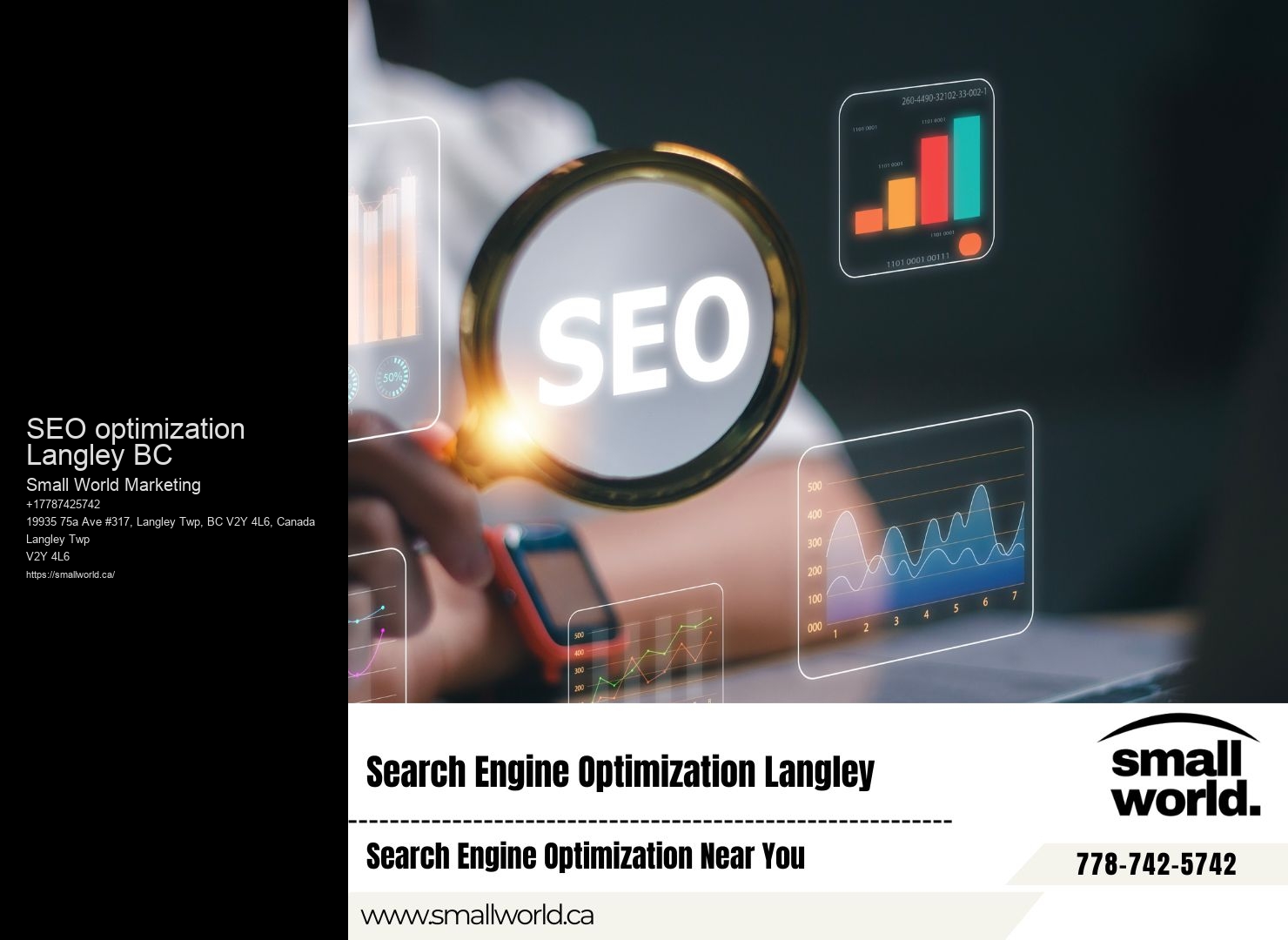 Comprehensive SEO Consultation SEO optimization Langley BC