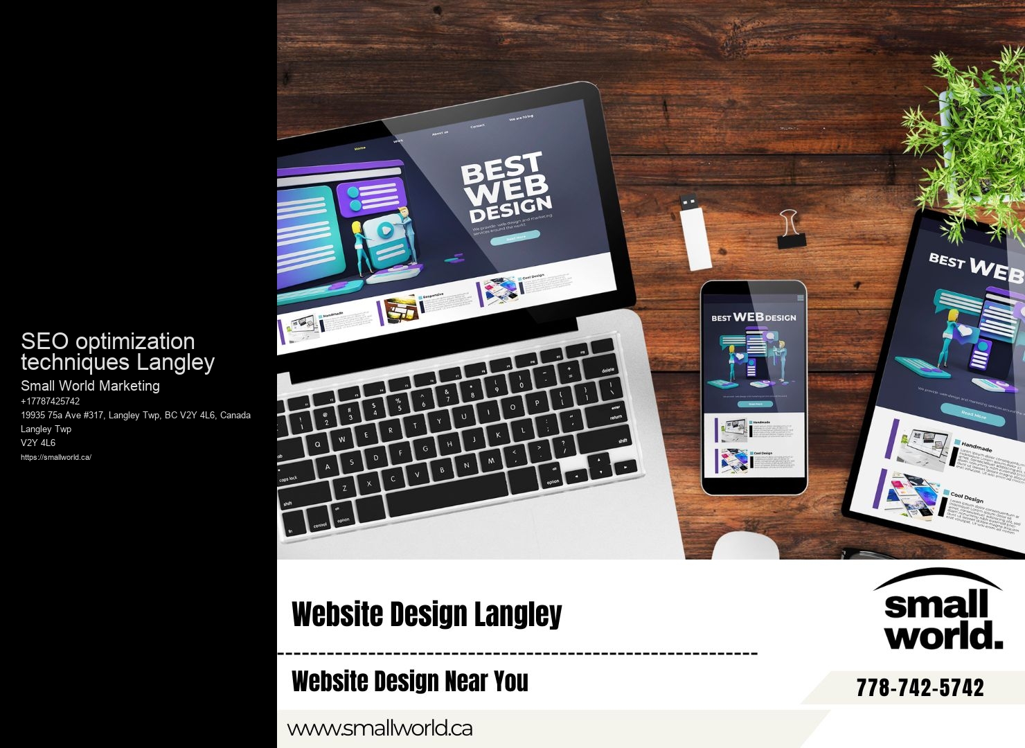 SEO optimization techniques Langley SEO comparison chart