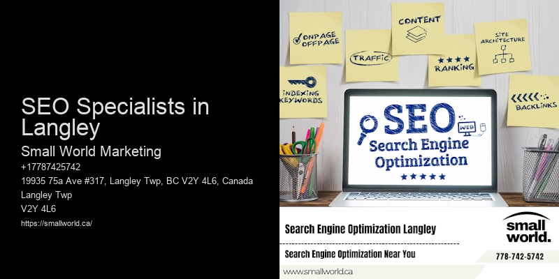 SEO Specialists in Langley