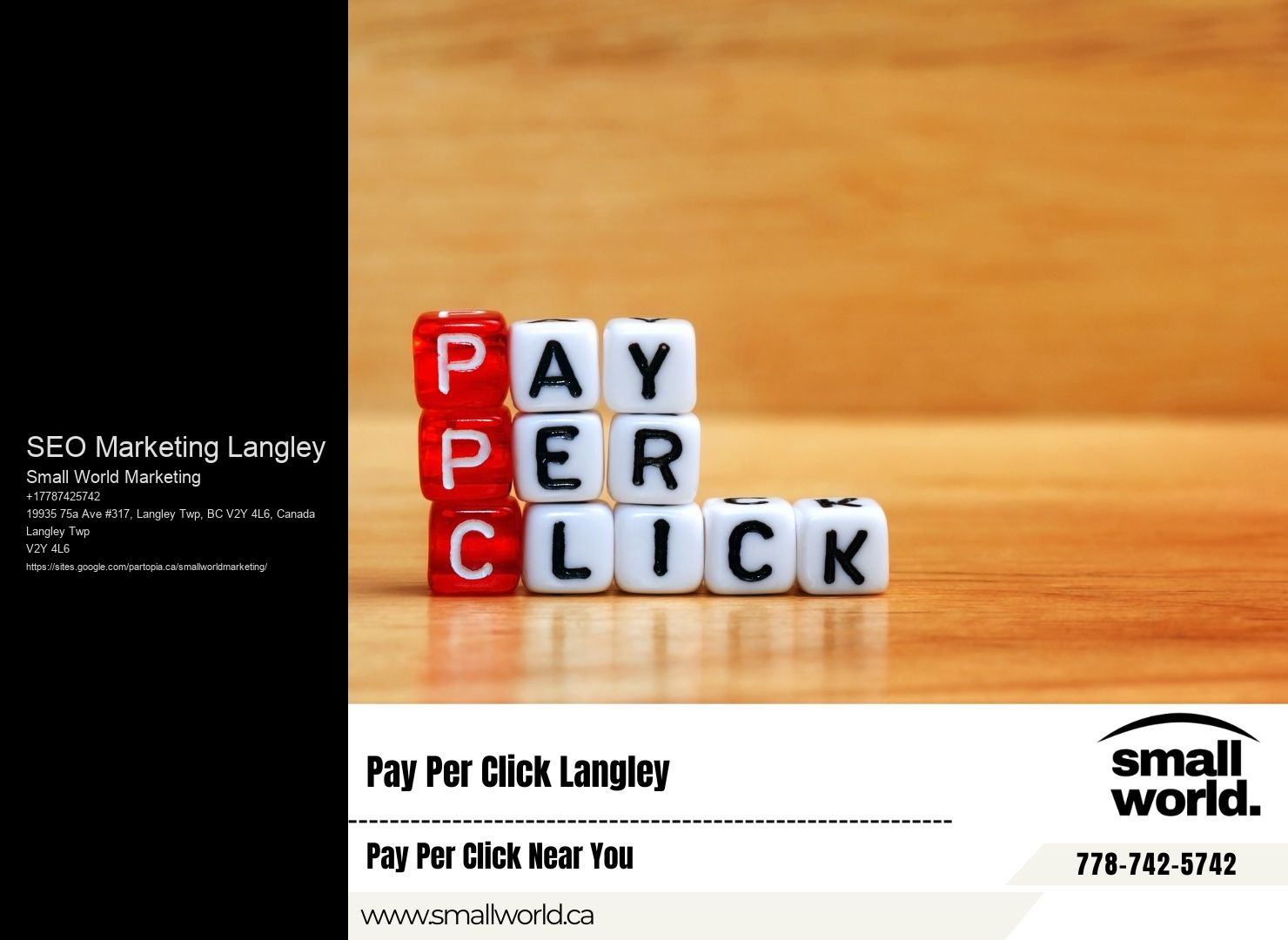 Premier SEO SEO Marketing Langley BC