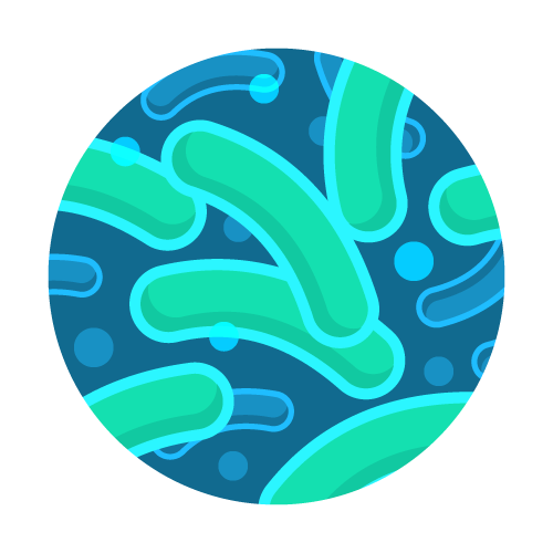 Slime-forming Bacteria