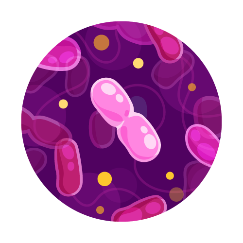 Sulfate-reducing Bacteria