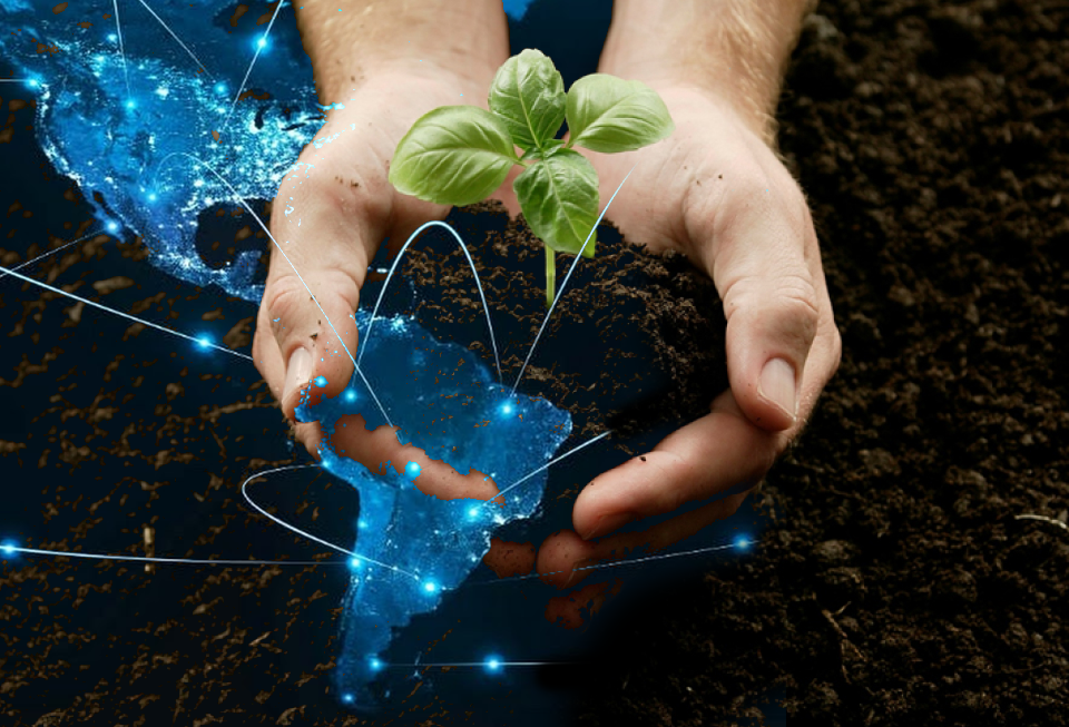 Card_Prepárate para--exportar-a-Latinoamérica