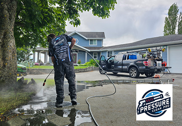 Gutter Cleaning Company Near Me