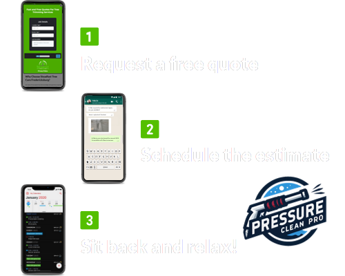 Roof Cleaning Quote