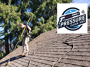 Roof Cleaning