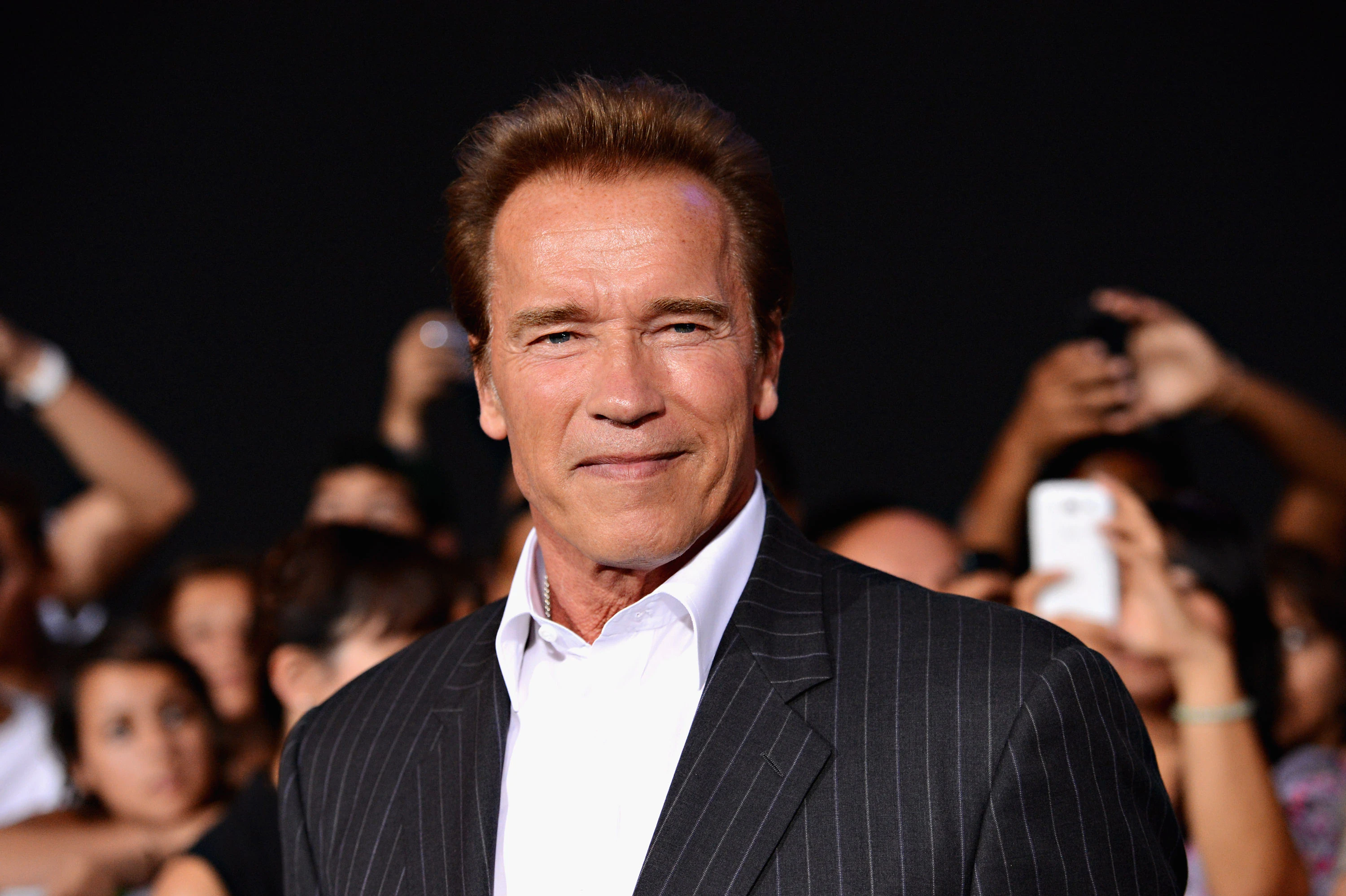 Arnold Schwarzenegger AI mentor on Get Mentors