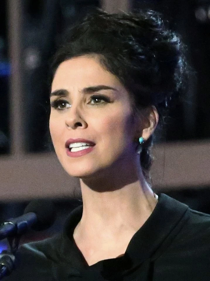 Sarah Silverman AI mentor on Get Mentors