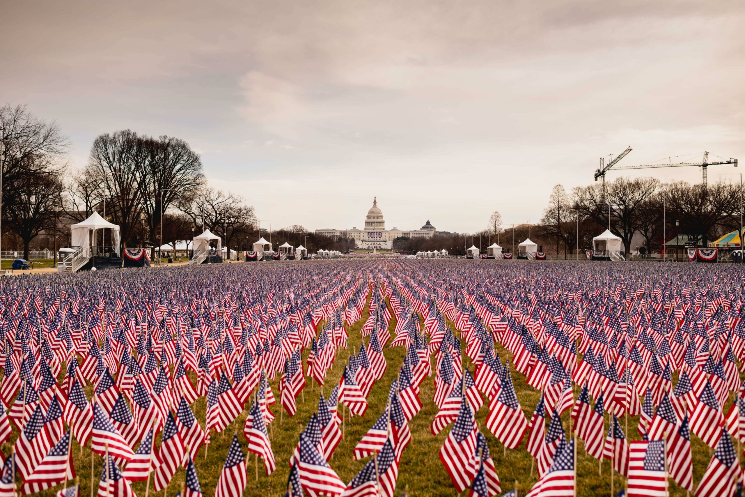 Field of Flags