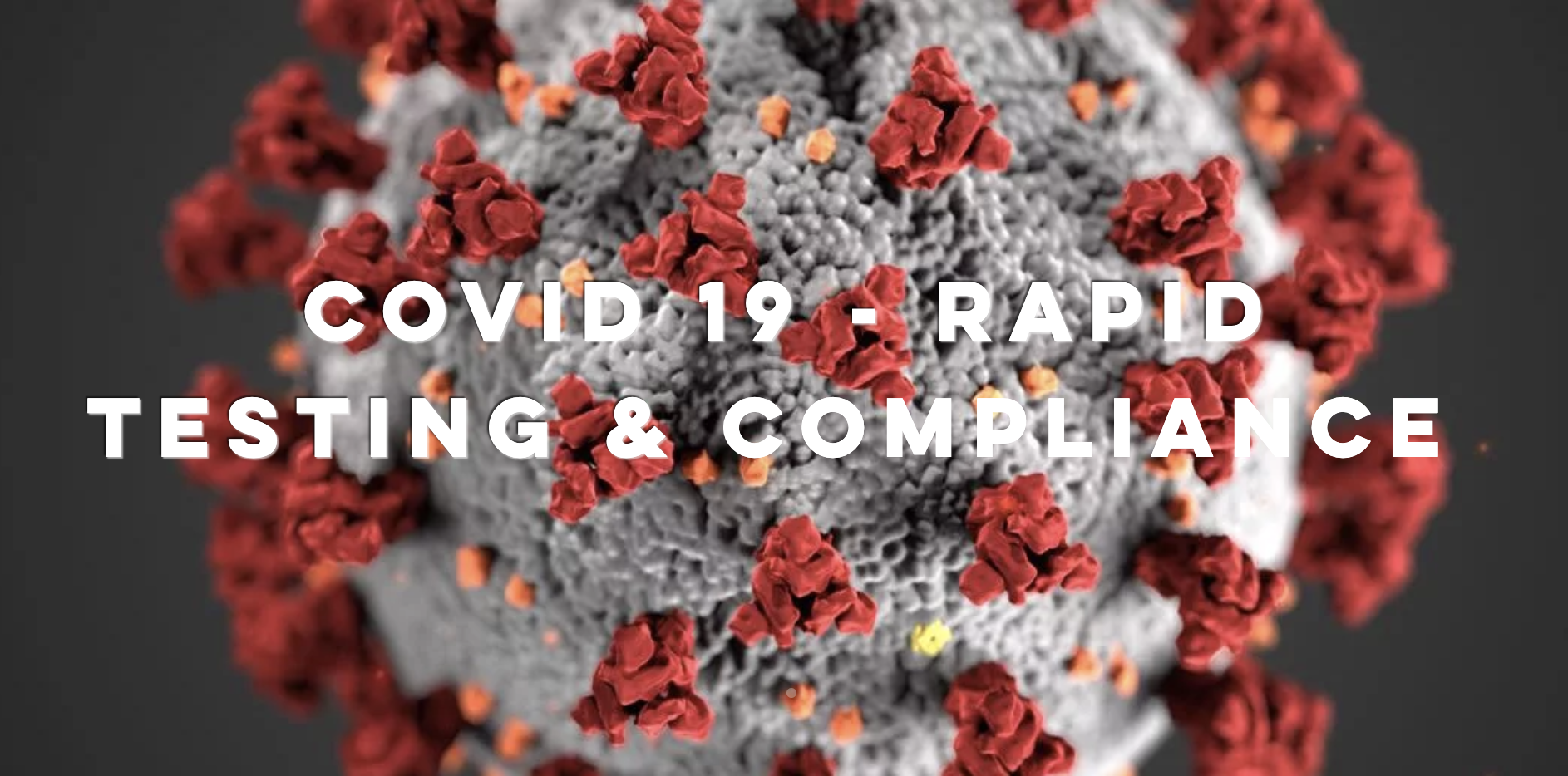 UK live entertainment solutions company Swallow Events says it