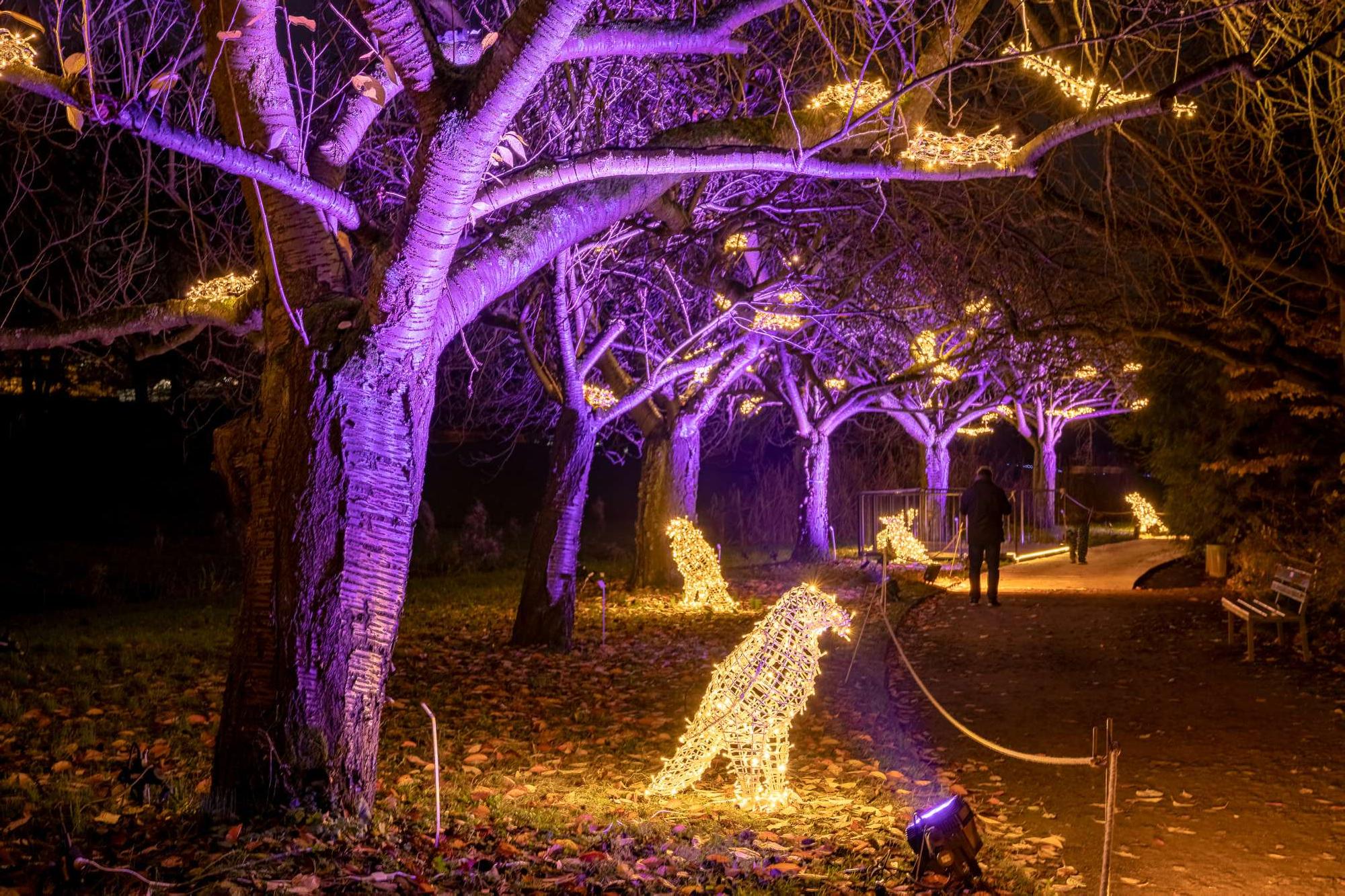 Scene from the Christmas Garden 2019 in Berlin