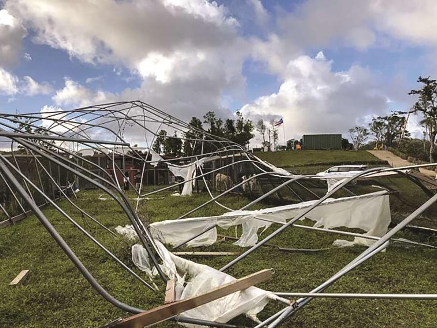 A destroyed greenhouse is seen on one of the farms City Winery employees will help rebuild.